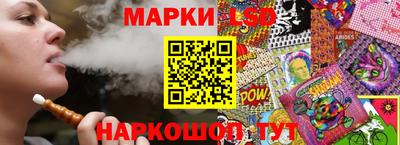 индика Сланцы