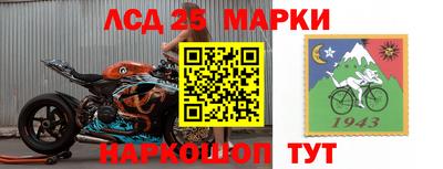 индика Сланцы
