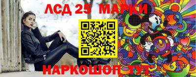 индика Сланцы