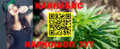 индика Сланцы