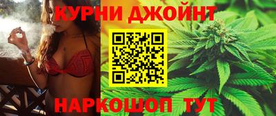 индика Сланцы