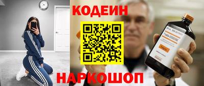 индика Сланцы