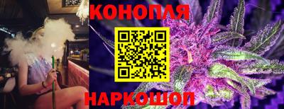 индика Сланцы