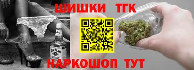 индика Сланцы
