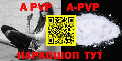 индика Сланцы