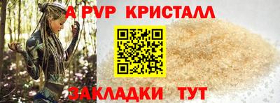 индика Сланцы