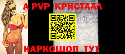 индика Сланцы