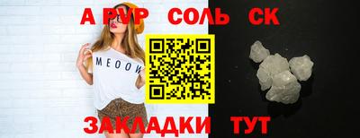 индика Сланцы