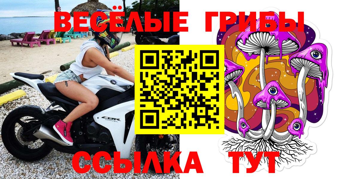 Орёл  Псилоцибиновые грибы Psilocybe  Галлюциногенные грибы Psilocybine cubensis  Вход с VPN 